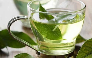 Ai không nên uống nước lá vối?