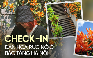 Những "đốm lửa" rực nở ở Bảo tàng Hà Nội tạo thành góc sống ảo mộng mơ hút chân giới trẻ đến check-in
