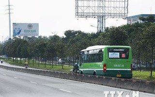TPHCM: Xử phạt ba người đi bộ không đúng quy định
