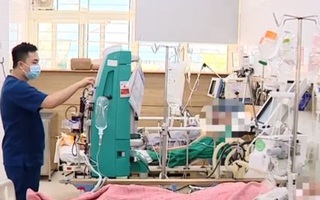 Ăn nấm rừng cực độc, 2 người nguy kịch