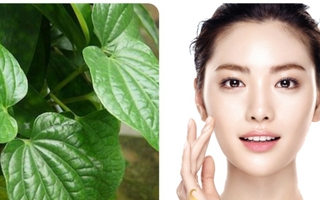 Lá trầu không có tác dụng gì với da mặt?