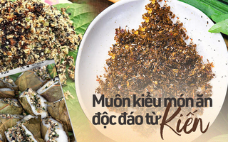 Những món ăn độc đáo từ kiến ở Việt Nam, tưởng chừng ai cũng "e dè" khi ăn nhưng lại bất ngờ bởi hương vị khác lạ