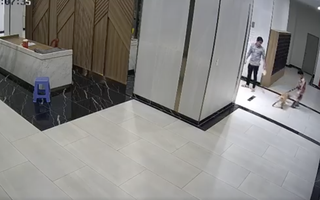 Diễn biến nóng vụ không rọ mõm chó còn đánh người ở quận 7