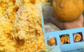Loại quả ở Việt Nam rụng đầy sân không ai thèm ngó, ở nước ngoài muốn ăn phải mua với giá cả triệu đồng