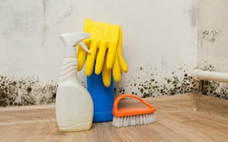 Loại bỏ nấm mốc trên tường dễ dàng với 3 nguyên liệu quen thuộc