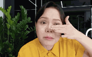 Việt Hương giải thích lý do không tới đám tang NSƯT Vũ Linh