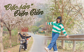Ngất ngây trước vẻ đẹp Điện Biên mùa hoa ban nở lung linh nhất trong năm