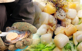 Về Thanh Lân tìm đặc sản, ăn thứ "đanh" hà nơi biển sâu