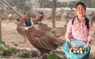 Người phụ nữ khởi nghiệp thành công ở tuổi 55