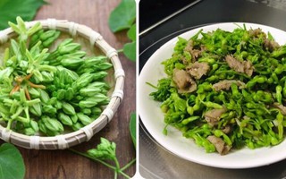 Hoa thiên lý có tác dụng gì?