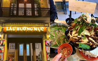 Nồi lẩu ếch được tìm kiếm nhiều nhất lúc này, hóa ra là của một hàng nổi tiếng Hà Nội, người sành ăn đều từng thử qua?