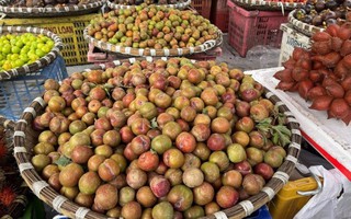 'Chợ mạng' rao bán 200.000 đồng/kg mận Mộc Châu