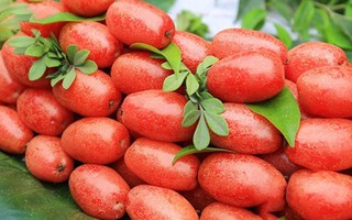 Thủy chung với... nhót