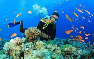 Kinh nghiệm lặn biển khi đến Nha Trang du khách cần biết