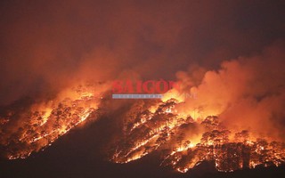 Rừng ở Đà Lạt cháy đỏ rực trong đêm