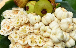 Lấy ruột măng cụt xanh siêu nhanh chỉ với 1 lần gọt, bạn đã biết chưa?