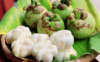 Quả măng cụt xanh có ăn được không?