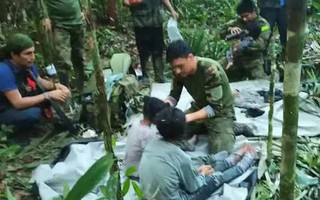 4 em nhỏ sống sót thần kỳ trong rừng sâu ở Colombia có sức khỏe ổn định, đã có thể chơi và đọc sách