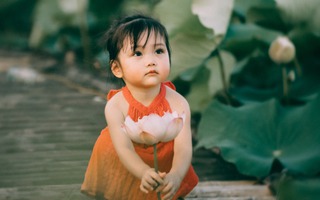 Tan chảy trước bộ ảnh ngọt ngào của bé gái 2 tuổi tạo dáng bên đầm sen