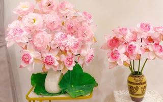 Mê mẩn ngắm các loài sen quý và cách cắm độc đáo của hội chị em đảm đang