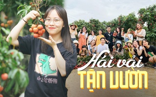Lịch trình 2 ngày ngắm 'dòng sông đỏ' ở thủ phủ vải miền Bắc