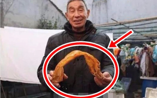Ngư dân phơi bong bóng cá rồi bỏ quên, 38 năm sau biến thành thứ giá trị tiền tỷ