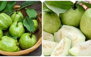 Ổi ngon, giàu dinh dưỡng nhưng lại 'đại kỵ' với 3 nhóm người sau