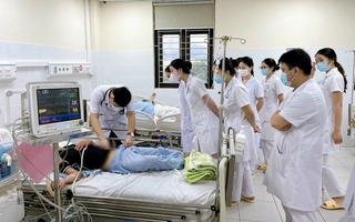 Suy đa tạng do bị mò đốt