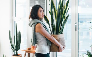 6 ý tưởng giúp khu vườn nhỏ trong nhà bạn luôn là tâm điểm chú ý