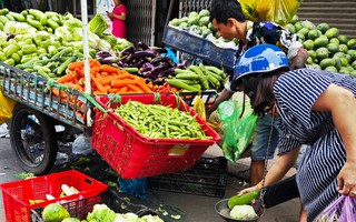 Mưa lớn liên tục, rau xanh bị hư hại, giá tăng