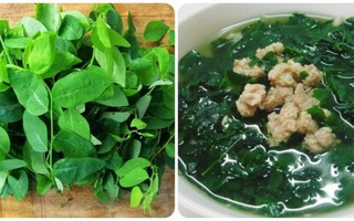 Có nên ăn rau ngót mỗi ngày không?