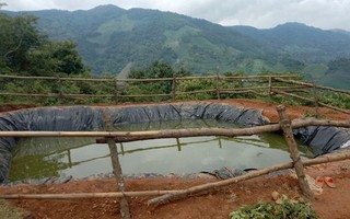 3 cháu nhỏ tử vong do đuối nước