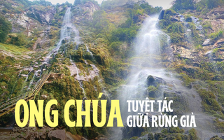 Con thác đẹp hơn tranh vẽ ẩn sâu trong rừng, đường dẫn vào trắc trở không phải ai cũng dám đi