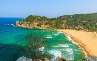 Đến thăm xứ hoa vàng trong 3 ngày 2 đêm với chi phí khoảng 4 triệu đồng