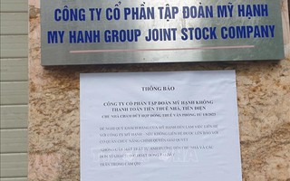 Hà Nội: Khẩn trương điều tra, làm rõ dấu hiệu lừa đảo ở công ty mạo danh trồng sâm Ngọc Linh