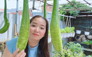 Thu tiền triệu trên… sân thượng giữa phố