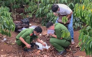Tá hỏa phát hiện bộ xương người lộ thiên trong vườn cà phê