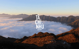 Chi phí đi "nóc nhà" Yên Bái ngắm mùa hoa chi pâu đẹp lịm tim, đắm chìm giữa biển mây Tà Chì Nhù