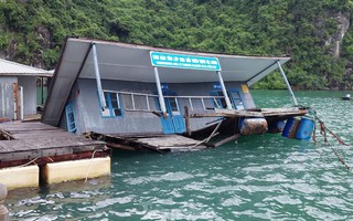 Lặng người nhìn khu bảo tồn lớp học chìm trên vịnh Hạ Long