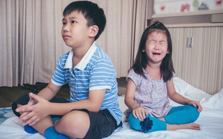 Tại sao có chuyện anh chị em trong nhà ghét nhau như "chó với mèo"?