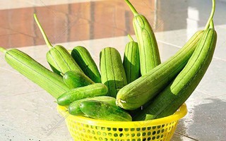 Mua mướp nên chọn quả thẳng hay cong?
