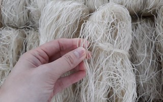 5 cách giúp bạn mua được miến dong đúng chuẩn