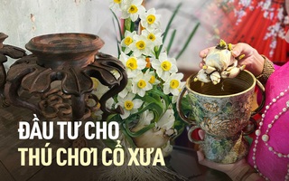 Cầu kỳ hơn bất cứ bộ môn chơi hoa nào khác, hội "nuôi" hoa biểu trưng nét thanh lịch của người Hà Nội ngày càng đầu tư phụ kiện trưng bày