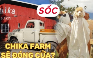 Chika Farm Đà Lạt bất ngờ thông báo đóng cửa dù đông khách, khiến dân tình vô cùng hoang mang