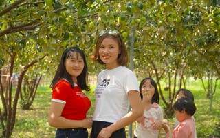 Mê mẩn vườn táo trĩu quả, giới trẻ đổ xô đến check-in