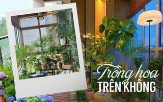 Ban công nhỏ chỉ 3m2 cũng có thể biến thành một “khu vườn trên không”, nếu không tin hãy xem ngay bài viết này!
