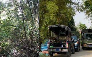Cận cảnh nơi nghi phạm giết người, cướp của đang lẩn trốn ở Long An