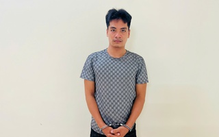 Bắt người đàn ông sát hại vợ trẻ trên đường đi làm ca đêm