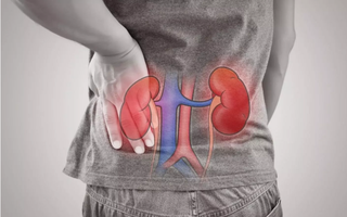 5 dấu hiệu vào buổi sáng của người thận khỏe