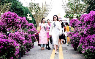 Hà Nội: Lễ hội hoa lớn nhất Miền Bắc sắp diễn ra tại Mê Linh